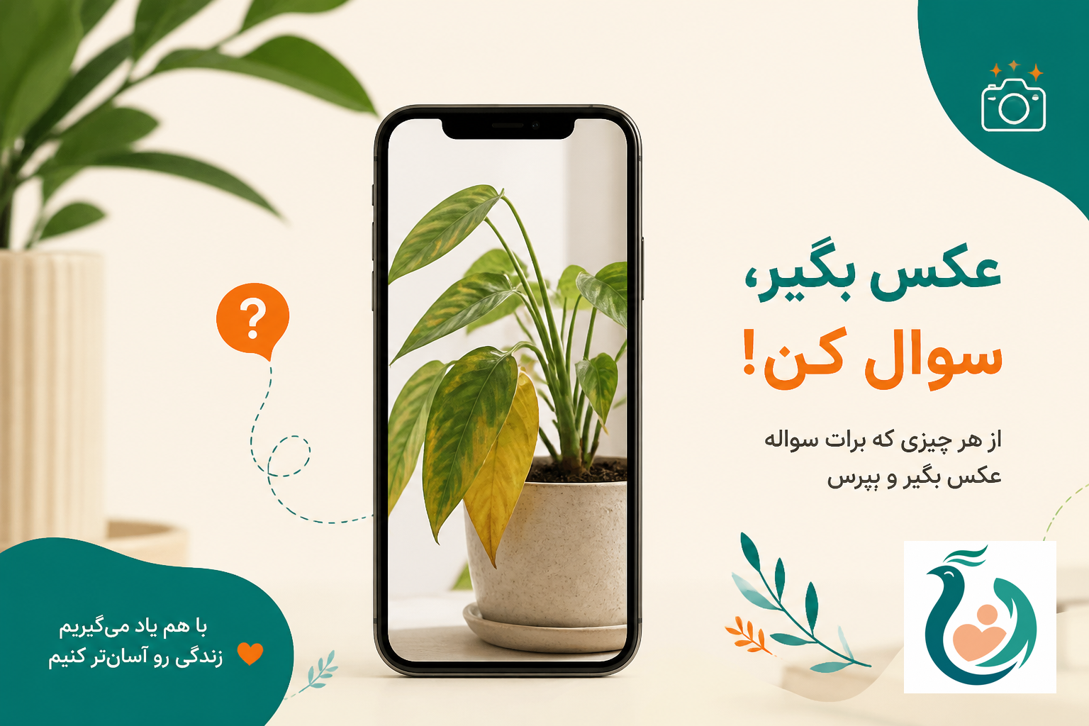 کاربر با گوشی هوشمند از گیاه عکس گرفته و در ویژن سیمرغ سوال تصویری می‌پرسد